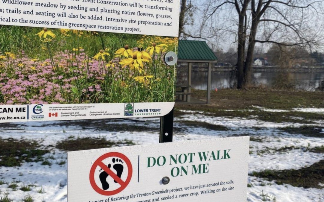 Restoring the Trenton Greenbelt