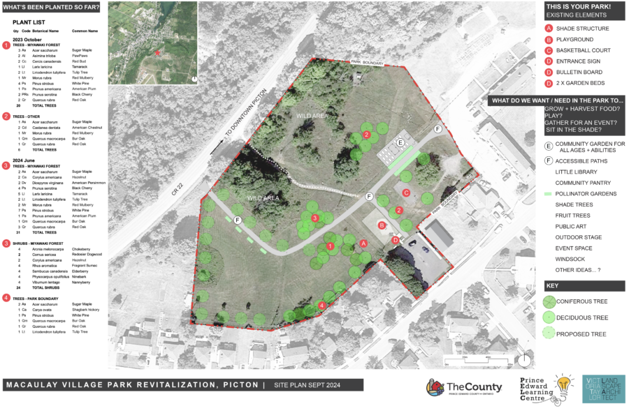 Macaulay Village Park Revitalization